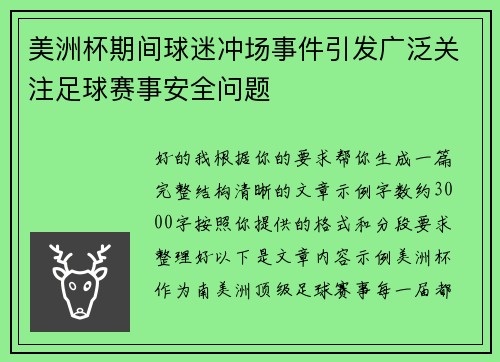 美洲杯期间球迷冲场事件引发广泛关注足球赛事安全问题